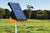 Gallagher S200 Solar Electric Fence energizer in pasture