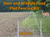 Deer and wildlife food plot fencing kit with a deer in a field, text overlay indicating '10 Acre' size.