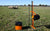 4 Gallagher SmartFences + S20 + Ground Rod - Gallagher Electric Fence