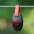 patriot fence alert light on fence wire and green background