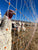 Gallagher electrifiable prefabricated portable fence poultry netting 