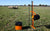 Gallagher Smartfence Kit - Gallagher Electric Fence