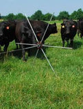 Beef cattle in pasture with moveable Gallagher Tumble Wheel Electric Fence Kit