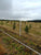 Gallagher Electric 1 Acre Deer & Wildlife hunting Fence Kit 