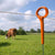 Gallagher Electric Fence wire and post ion a grazing pasture