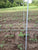 Field with Gallagher 3/8" Fiberglass Fence Posts and wire