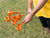 Orange Gallagher Ring Top Fence Posts and farmer